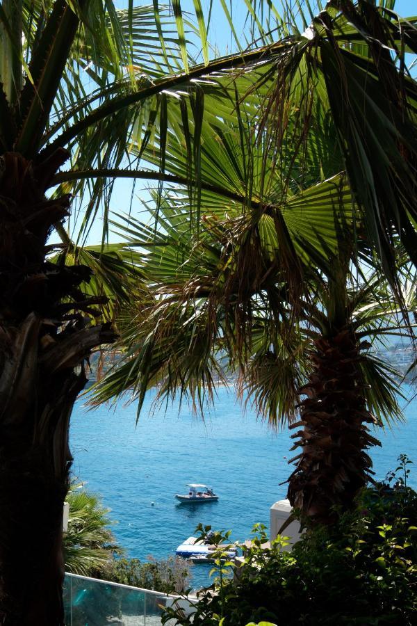 Boel Hotel Bodrum 博德鲁姆 外观 照片